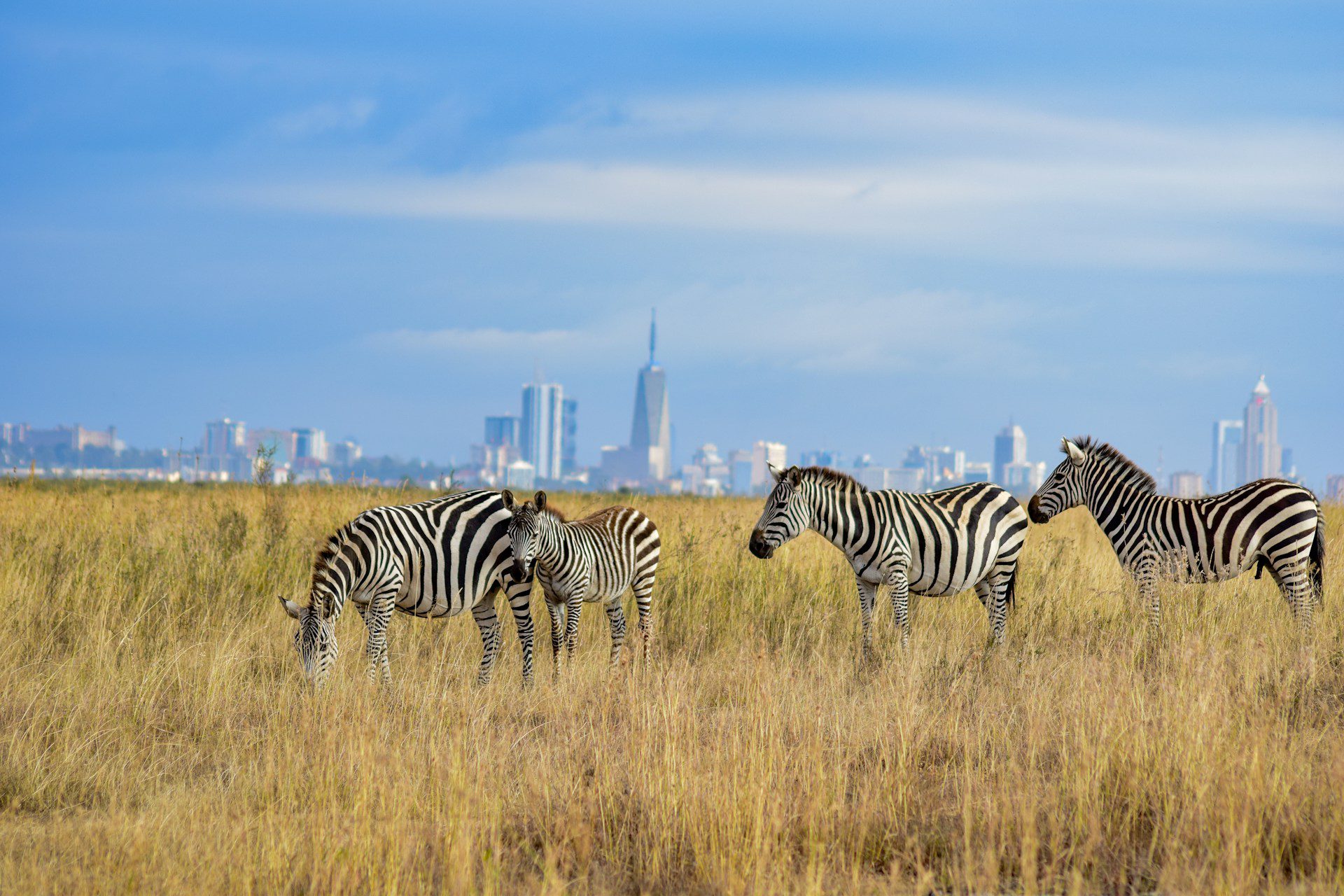 Thinking of Buying Property in Kenya? A Brief Guide for Foreigners